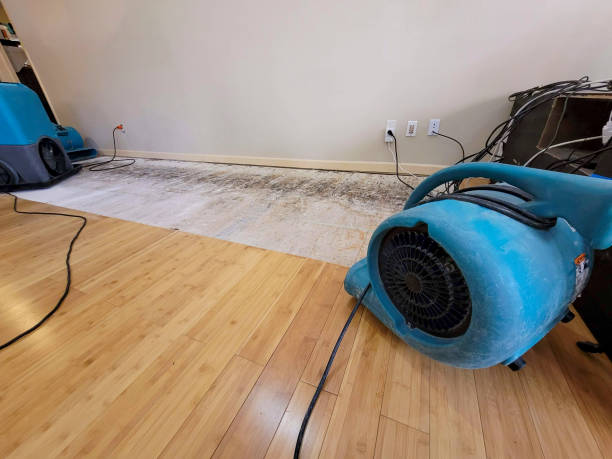 Professional Ceiling Water Damage Repair technician working in Acton, MA